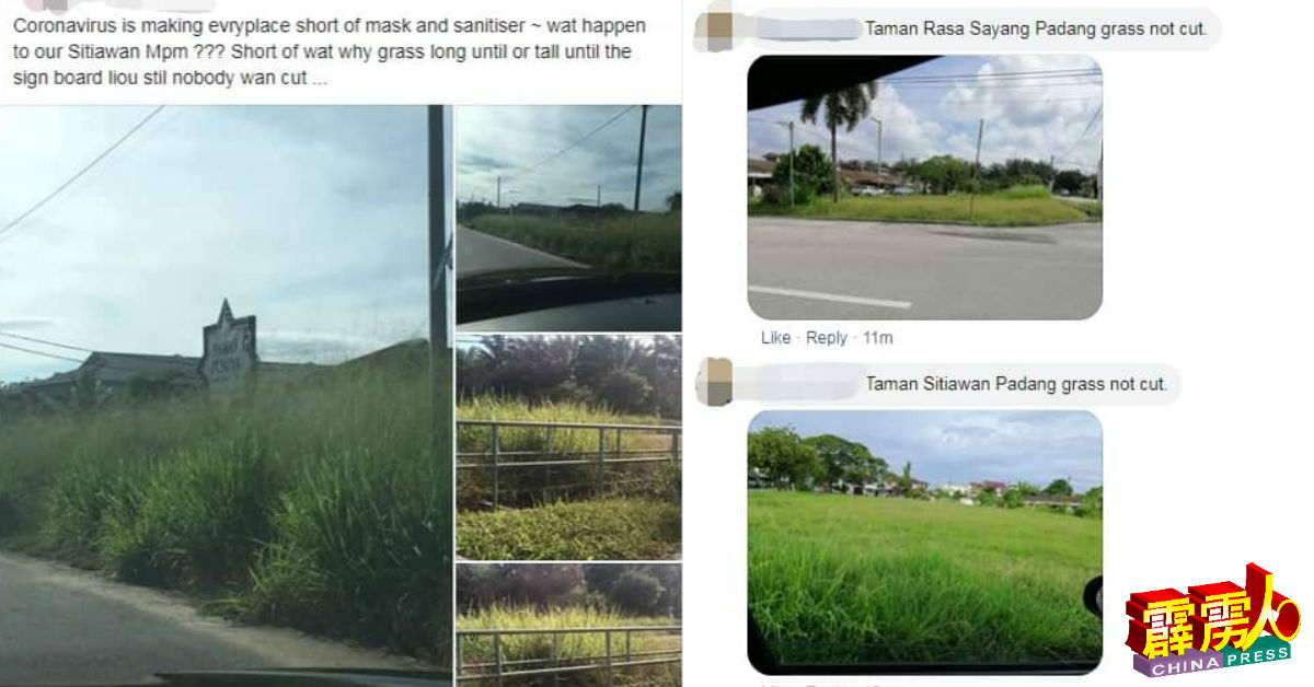 网友纷纷在面子书分享各地杂草丛生的照片。