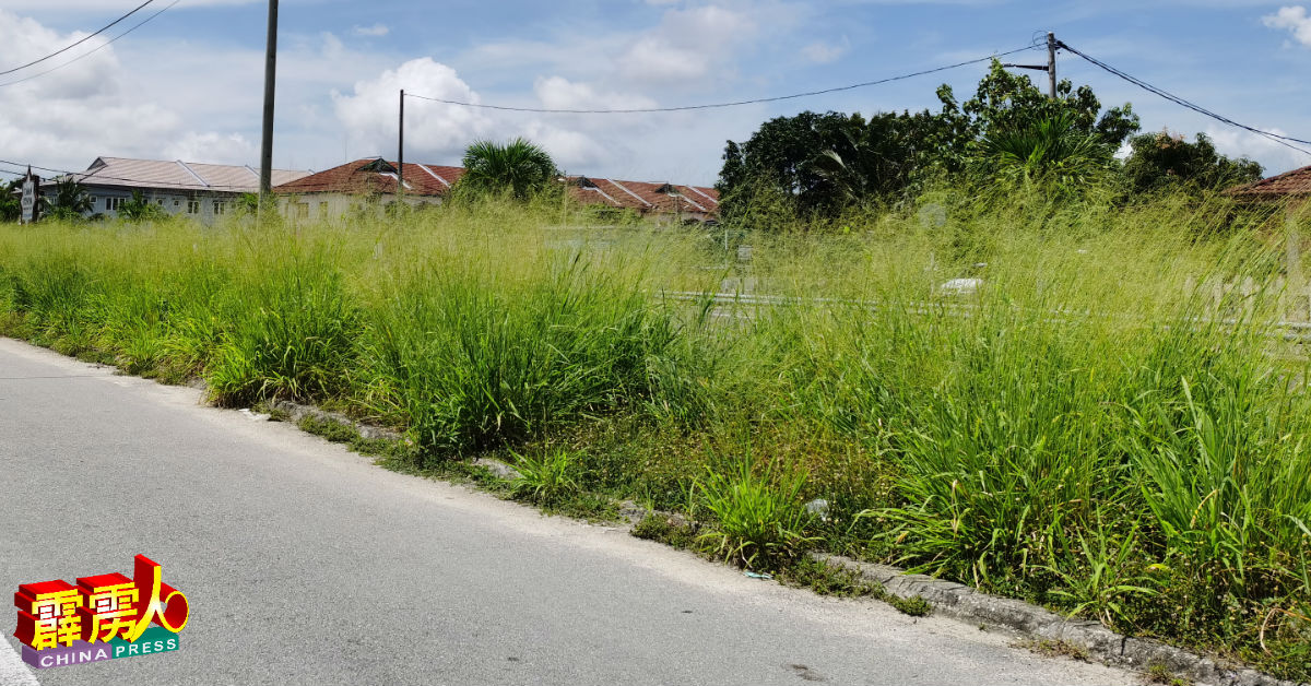 甘文阁往返巴西班让的道路两旁已野草丛生。