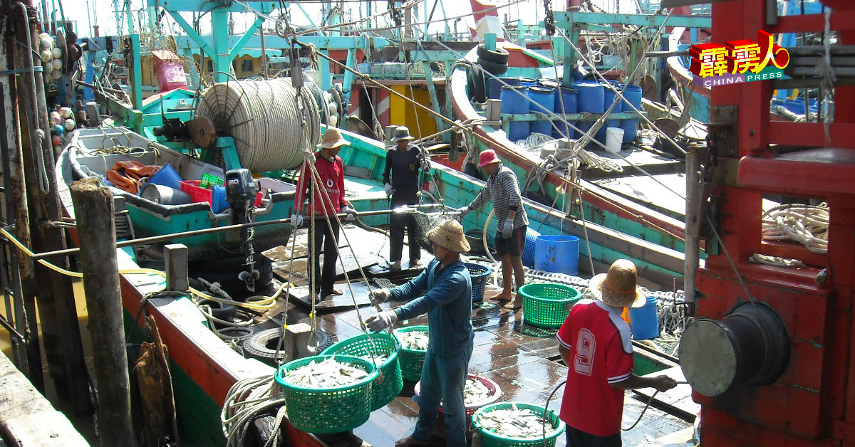 半港渔业界聘请大量各国外劳，若半港失陷，情况不堪设想。