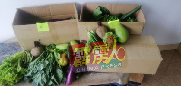 为解决在管制令期间无法出售蔬菜的问题，金马崙菜农透过网购平台，以蔬菜箱配套的概念销售蔬菜。