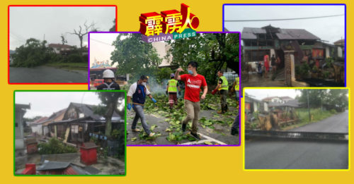 大风灾  大树连接被连根拔起  兵如港110单位遭殃