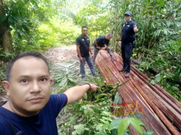 森林局执法人员在森林保留区发现盗伐后，悉数充公木枋。