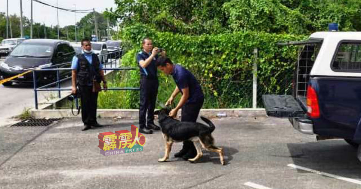 霹雳州警方派出警犬队协助调查。