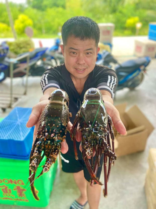 许咏强展示手掌般大的青壳小龙虾。