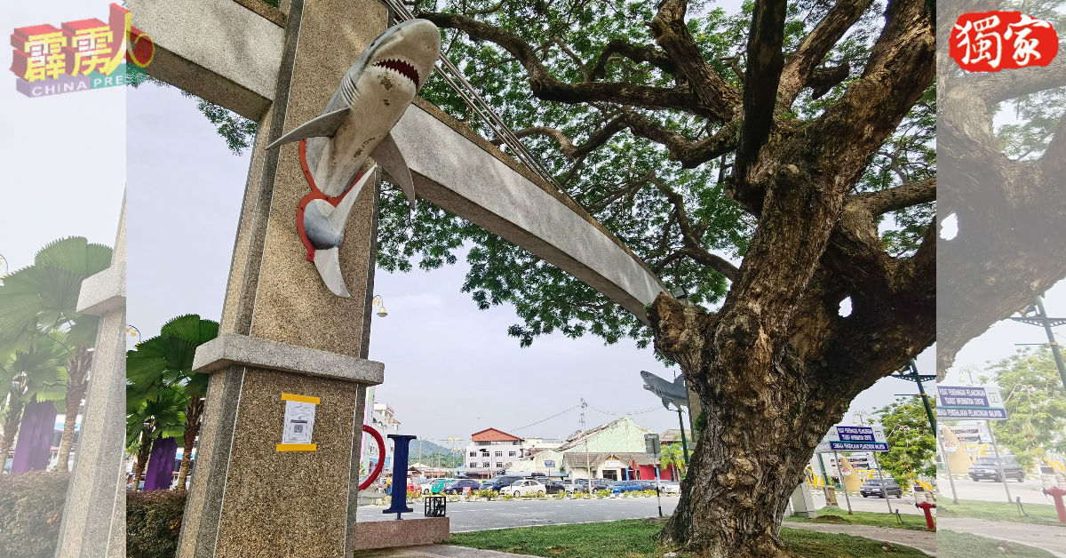 红土坎海滨公园张贴QR码告示牌。