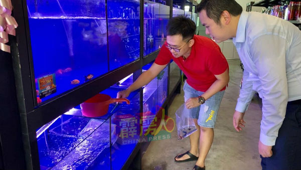 张哲敏（右）金宝克兰芝州议员服务中心接获得金宝秦龙水族赞助500条斗鱼。