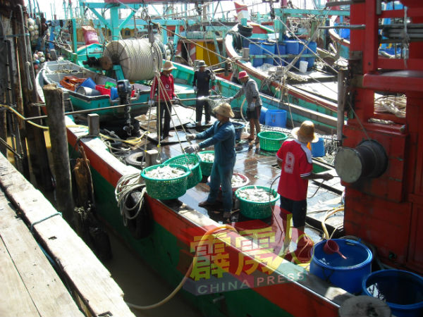 半港的渔业界业主雇用未达10%的泰裔外劳。