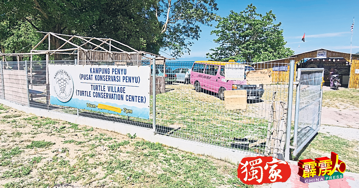 直落哥打邦的海龟孵育中心开放供游客付费参观。