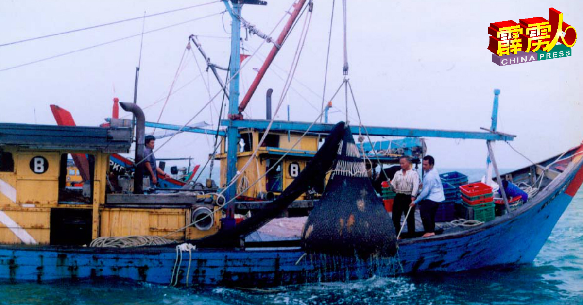 峇拉煎蝦幾近絕跡，漁民苦不堪言。