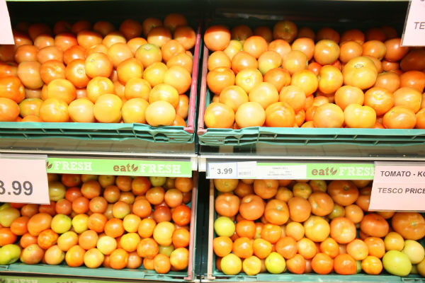 蕃茄价格也处于每公斤2令吉左右中等水平，波动不大。（档案照）