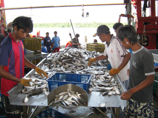 渔业方面的运输一切如常，包括士拉央批发巴刹也能如常运作。