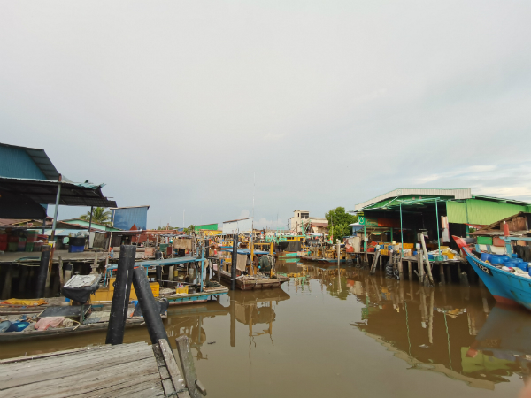 双怡杖渔村有约90%渔民被逼停海。