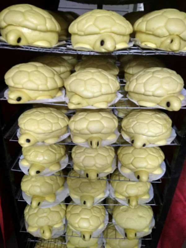 一些业者在网上售卖造型可爱的乌龟包，以开拓新市场。