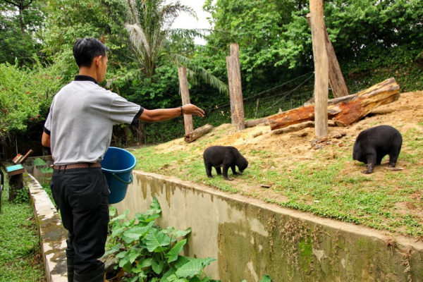日夜间动物园的开支每月达40万令吉，包括花在动物的食物费。