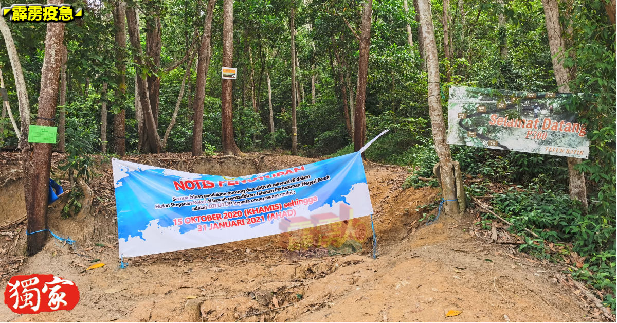 森林局也在直落峇迪的“300之山”张挂禁止所有登山活动的横幅。