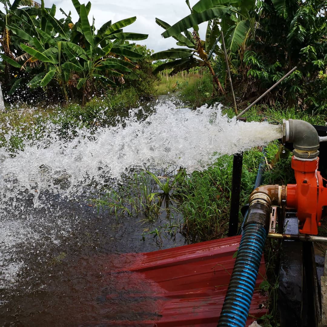 农民使用本身的小型水泵排水，但效果一般。