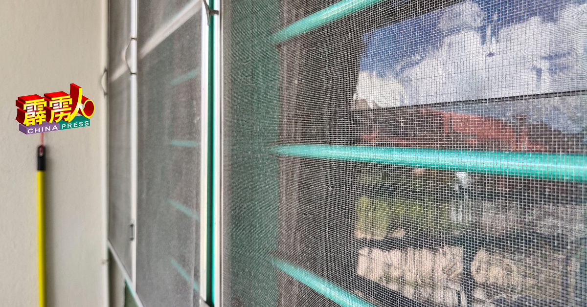 由于蚊症严重，一些居民已在窗户增设蚊纱自保。