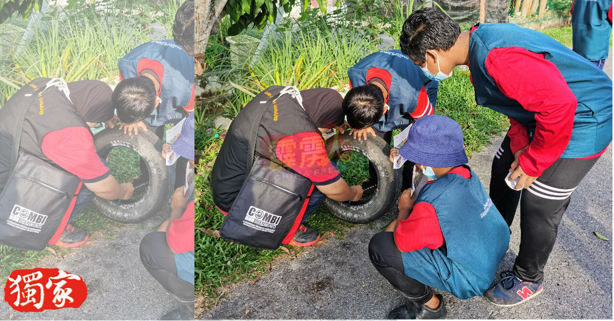 COMBI儿童组成员，检查诱捕目黑斑蚊的轮胎内部。