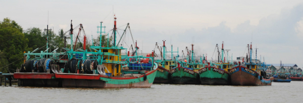 半港是国内最大渔港，这里有超过600艘渔船，提供国内约30%海产供应量。