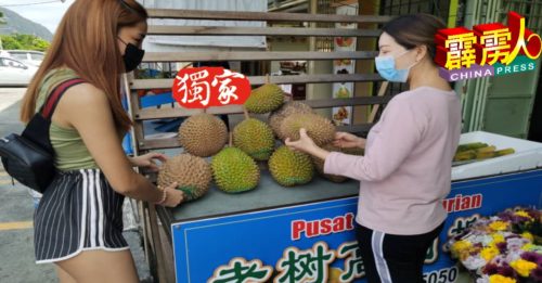 【霹雳头条】天气及雨季影响 榴梿产量比去年同期减少逾60%