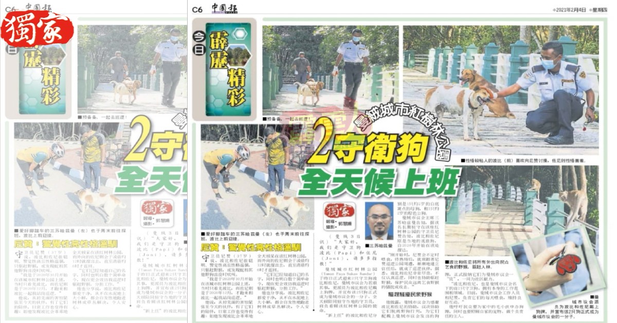 《中国报》于2月4日刊登有关城市红树林公园波比和佐尼的独家报导。