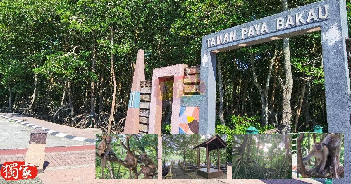 红土坎城市红树林沼泽生态旅游中心原名为“红土坎红树林公园”，是霹州内唯一座位于城市的红树林生态公园。
