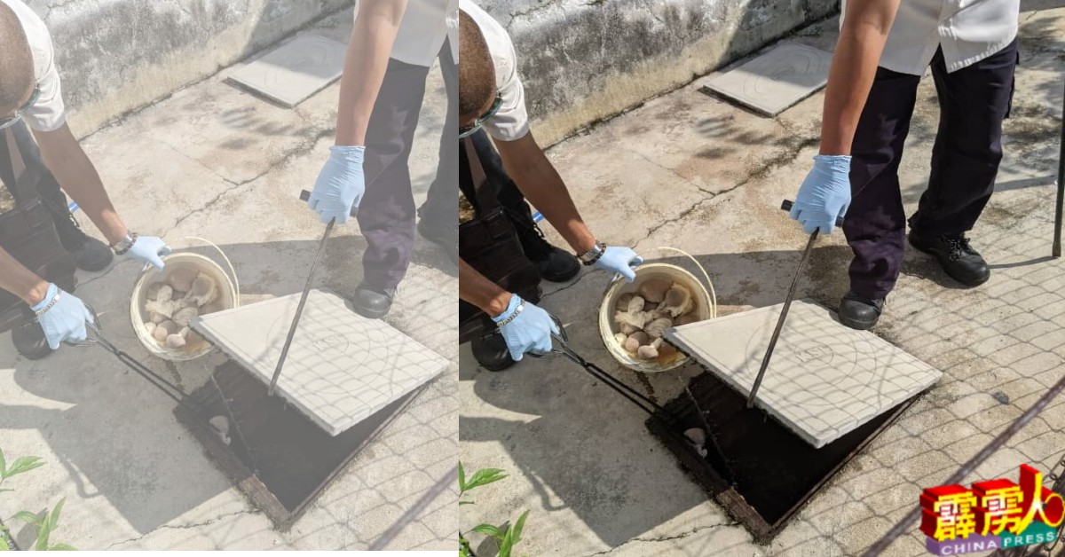 曼绒市议会和卫生局，于日前在25个地区的化粪池置入灭蚊汤包，杜绝孑孓繁殖。（黄丽娟提供照片）