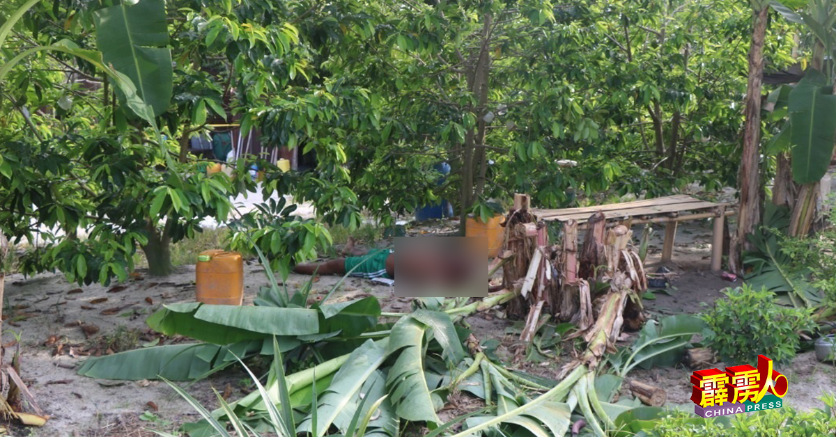警方抵达现场发现有一具上身赤裸，下身穿青色短裤的尸体，倒卧在菜园范围内。