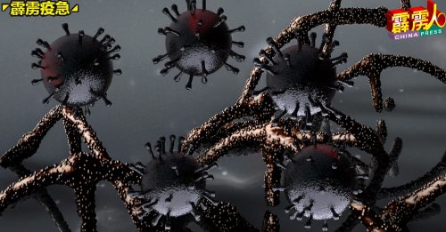 ◤霹雳疫急◢霹新增42宗确诊病例   桂和园大路感染群病例居多
