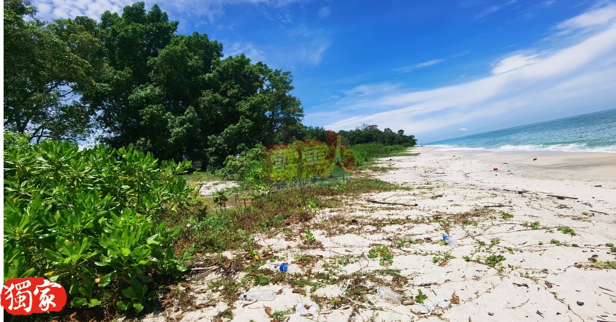 昔加里巴西班让约9公里的海岸线，是海龟长年上岸产蛋的海滩，属环境敏感区（ESA）级别中的第一级别。