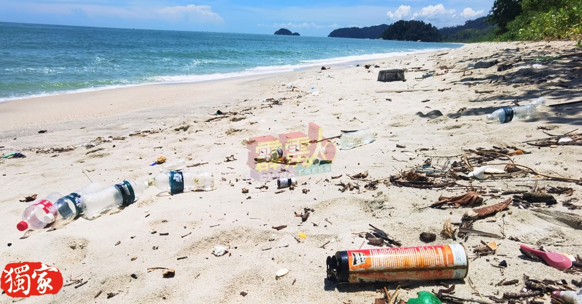 佈满人为垃圾的海岸，已严重破坏海龟生态！