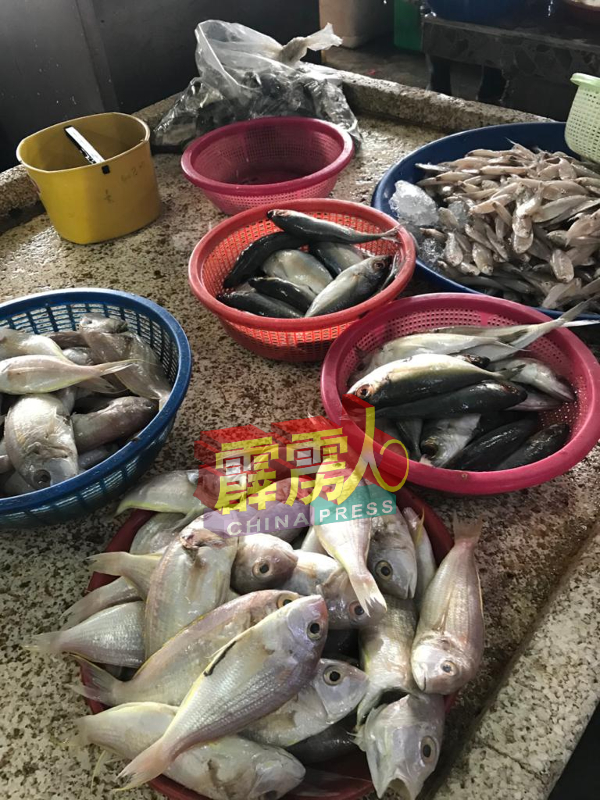 霹州数区落实强管令以来，市场对鱼类及海鲜的需求下降30%。