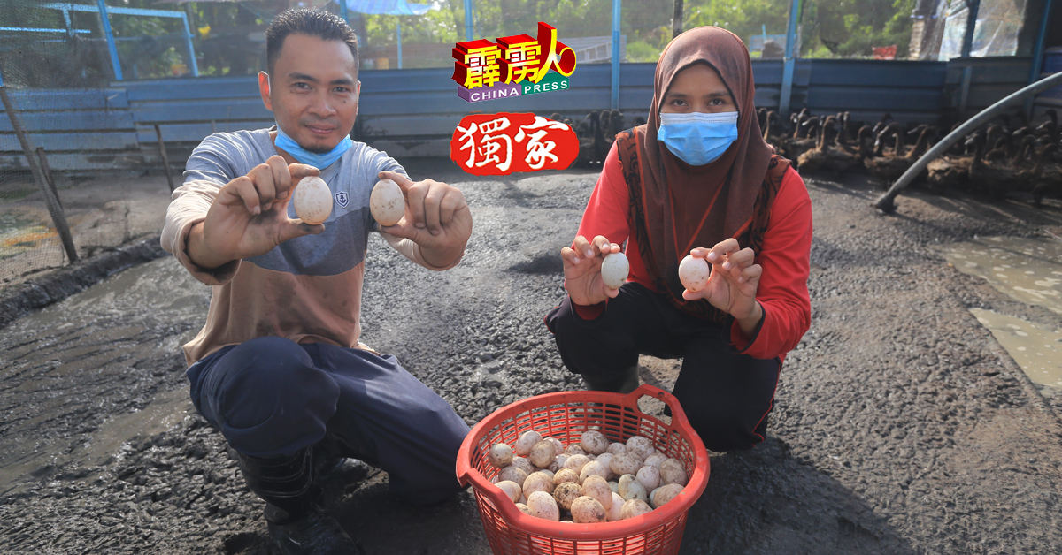 凯鲁尼占（左）与太太诺阿嘉丽娜展示，每天在鸭场拾起的鸭蛋。