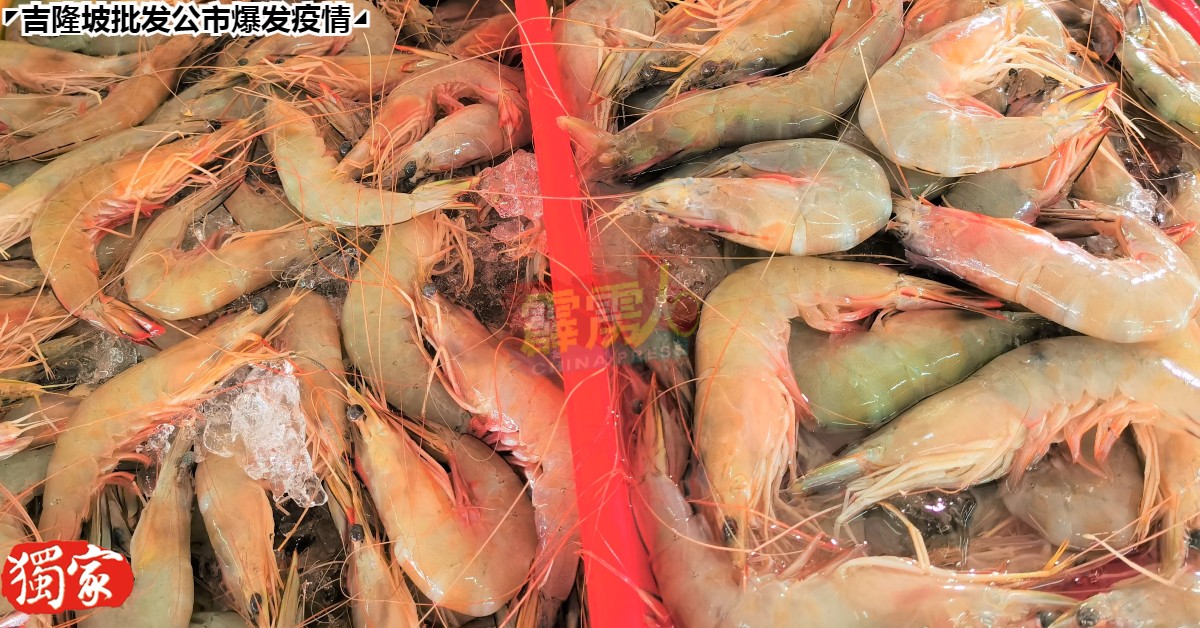 谢志雄告知，随着隆坡批发公市暂时休业，他将会安排把鲜虾转销至他处。