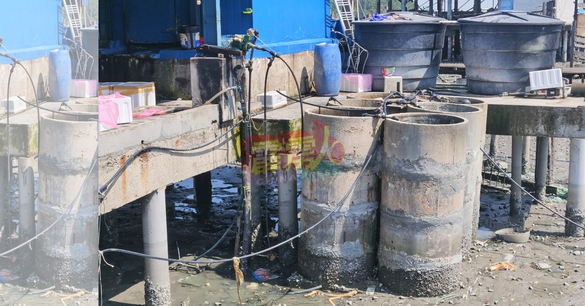 双礼佛数间受水供不足影响的渔寮，自备储水槽。