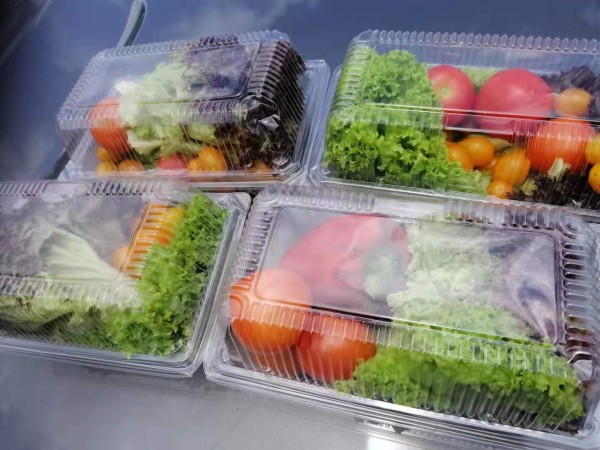 菜农目前赶着包装蔬菜，供应给超市或霸级市场。