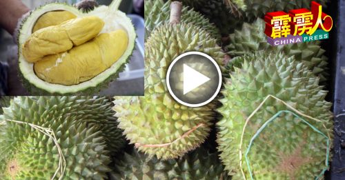 双管齐下卖  送上门包换  榴槤贵  也要吃