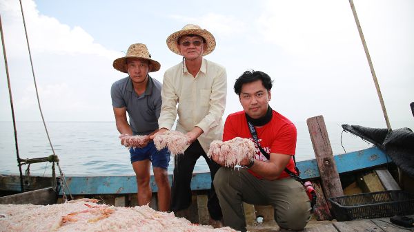 林国安（左起）、王雅霖与蔡耀梁，共同展示新鲜的峇拉煎虾，这带有一股清香。