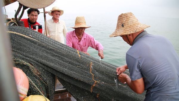 渔民在适当海域下网，并持续航行约一小时，即可拉上鱼网。