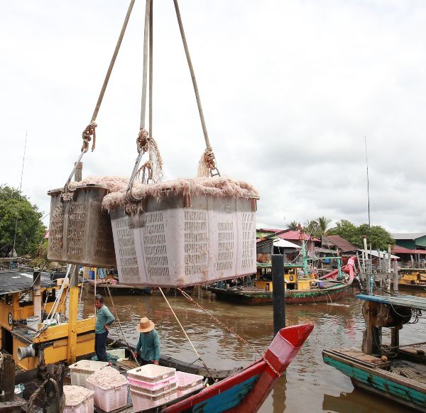 渔民要很快速把船上峇拉煎虾，盛入篮子再以小型吊机吊上渔行。