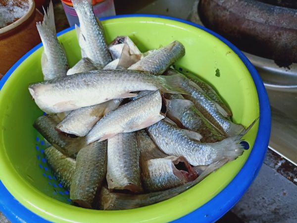 网卖鲜鱼能成功的其中一项因素是率先清理好鲜鱼，方便顾客。