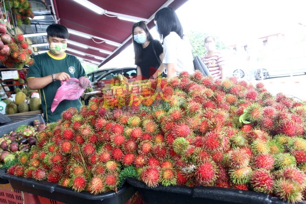 除了榴槤，红毛丹也陆续上市，让喜爱本地水果的民众大饱口福。