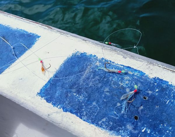 渔民采用一种自制，被称为阿波罗式的钓杆，每个小鱼钩上有假鱼饵或发亮的萤光绳须。