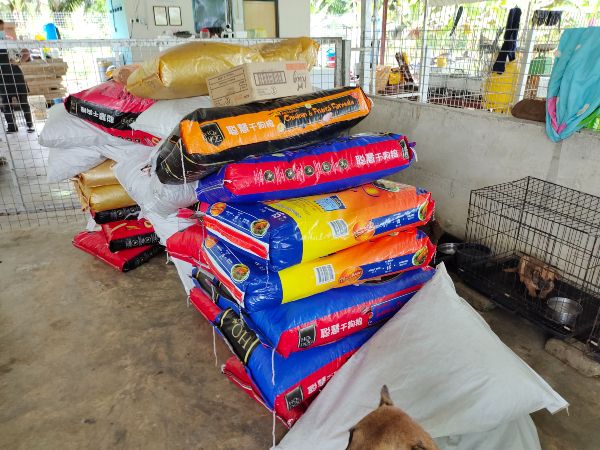 。浪浪之家“爱心食物银行”计划奏效，成功筹集40大包装狗粮。