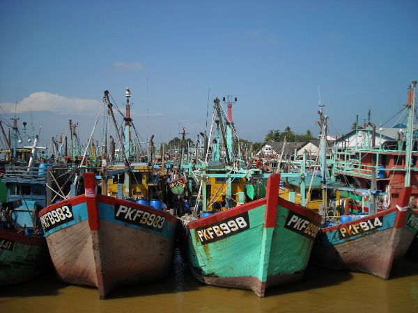 半港也是全马最大渔港，若爆发严重疫情，将影响国内鲜鱼供应。