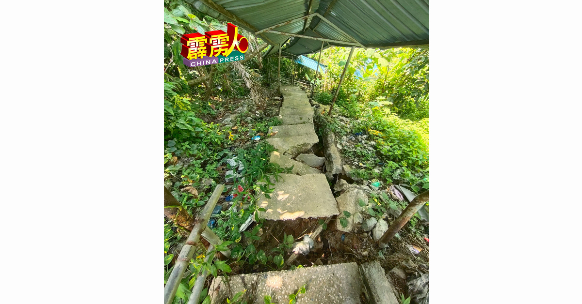 根据观察，有关有盖梯道的梯级不符规格，且没有排水道。公共工程局将会查出崩塌原因，再作打算。