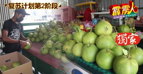 ◤霹雳头条◢ ◤复苏计划第2阶段◢ 中秋节将至 柚子买气慢热