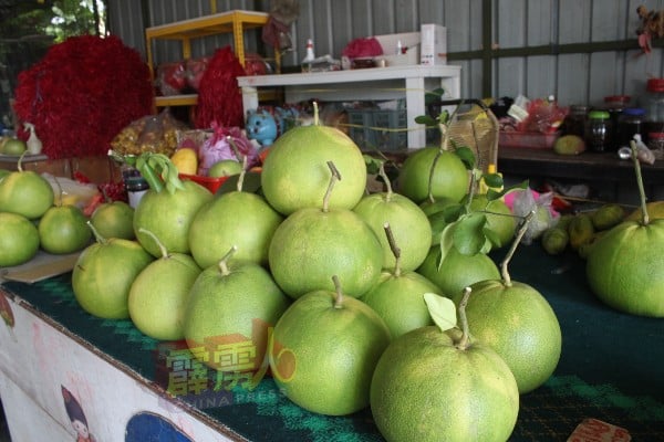 不少柚果园也直接售卖柚果，让民众也能“图个新鲜”。
