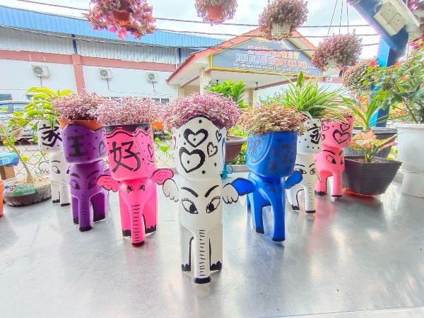 王月英也以洗衣液罐子,制作环保花盆,省钱、环保又美观。