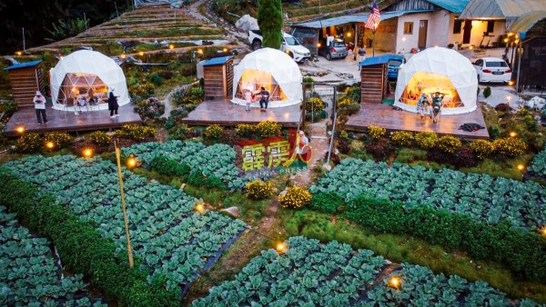 由于菜园地段不大，园主只能搭建3个圆顶星球型帐篷，让游客入住。
